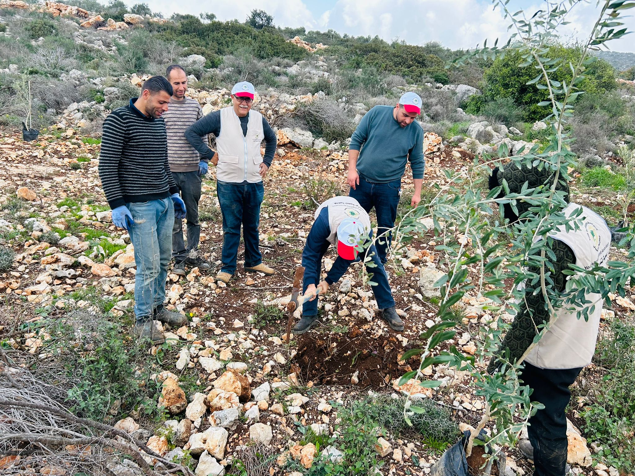 جمعية تنمية الشباب وبلدية ديراستيا تنفذان يومًا تطوعيًا لزراعة أشتال الزيتون